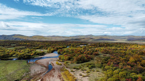 ����ʪ�ض������