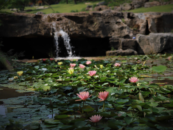 ����˯������