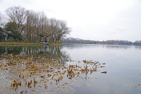 西湖景区茅家埠风光