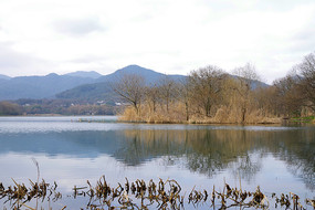 西湖茅家埠