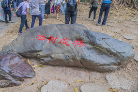 西双版纳植物园独树成林刻石