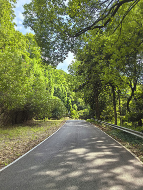 山湾绿道景观