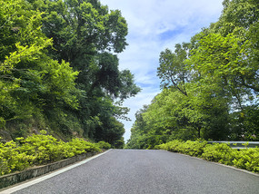 山湾森林绿道