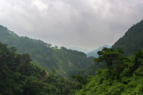 泰山自然风光