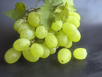 ��Ҷ������д