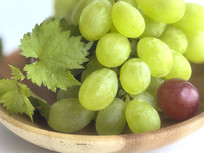 ������Ҷ����