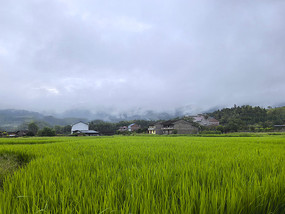 闽北山村