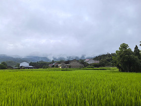 山村风光