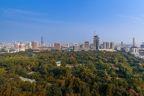 城市秋天街景