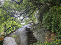 ������ɽ��