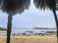 ������ɳ̲