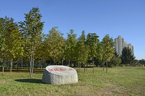 ���Ǻ�����