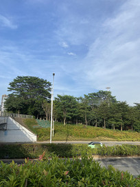 ·߷羰