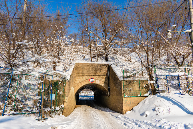 ������������ѩ��