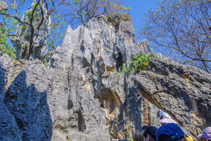 ����ʯ��ʤ��ʯ������ľ