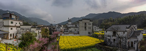 宽幅古徽派村落的田园春色