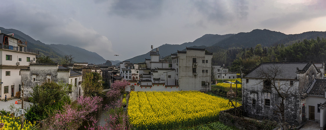 宽幅古徽派村落的田园春色