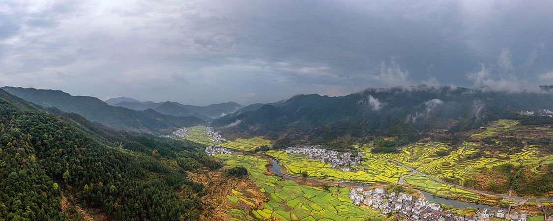 宽幅皖南油菜花田的间的徽派建筑村庄