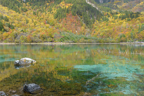 九寨沟多姿多彩的秋林和湖水