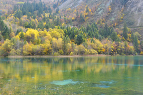 四川阿坝九寨沟秋林和湖水