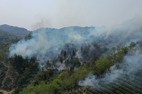 茶山火灾景象
