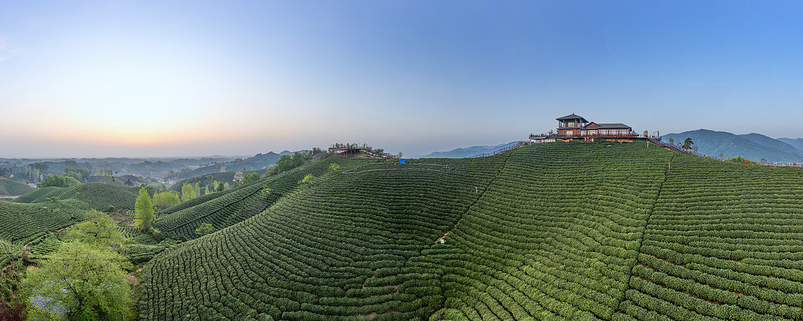 宽幅壮丽的茶山日出美景