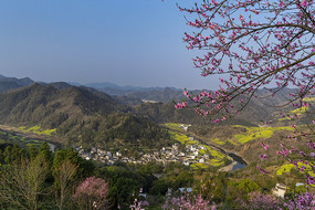 桃花掩映下的皖南村落风光