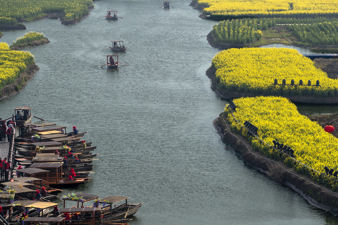 春日水乡的油菜花花海游