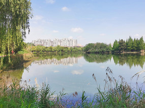成都西华大学校园的天籁湖