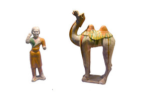 ݲǣٸ
