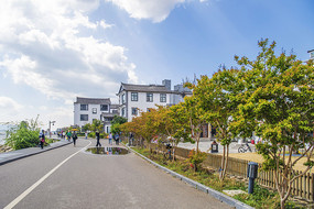 大理S湾白族楼房与公路树木