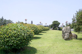 河南省洛阳市牡丹桥路沿花境园林景观