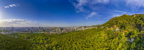 宽幅绿意盎然的城市天际线全景