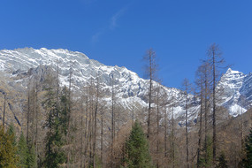 四川四姑娘山景区红衫林冰川