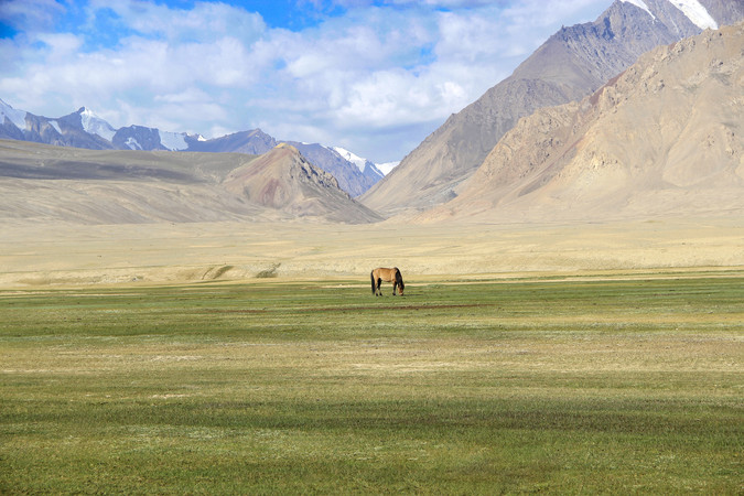 ��ԭ����