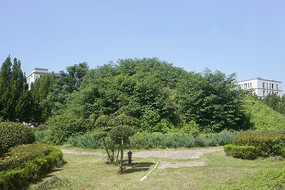 洛阳市文物史家湾村东北墓地