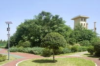 ����������ʷ�����������ڣ