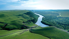  ʵľú