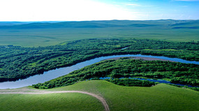  ľú
