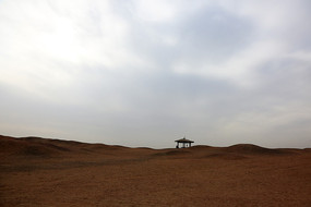 ���ؾ�����ͤ��