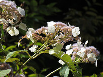 ��������������