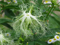 Ұ���л���¥