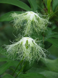 �л���¥����