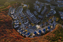 ɽ����ɫ�еĴ�ׯ����