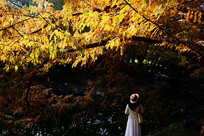  ‌�ú�԰������ɫ