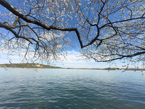 �����ú�԰������ 