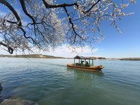 �����ú�԰�������δ�