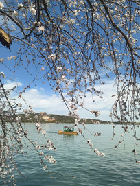 �����ú�԰�������δ�