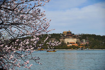 �����ú�԰���������