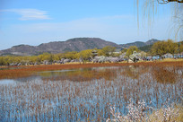 �����ú�԰��ɫ